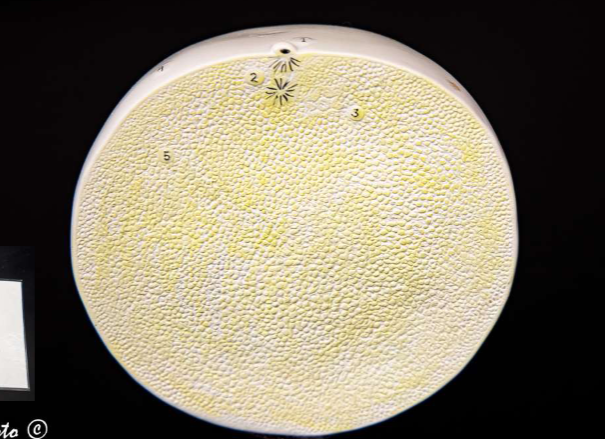 <p>What is this?</p>