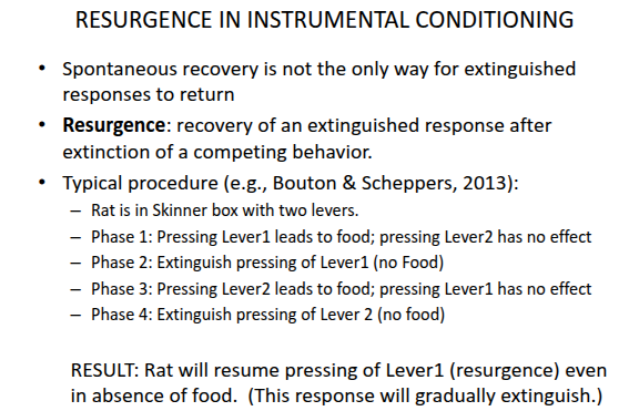 <p><strong>Resurgence</strong></p>