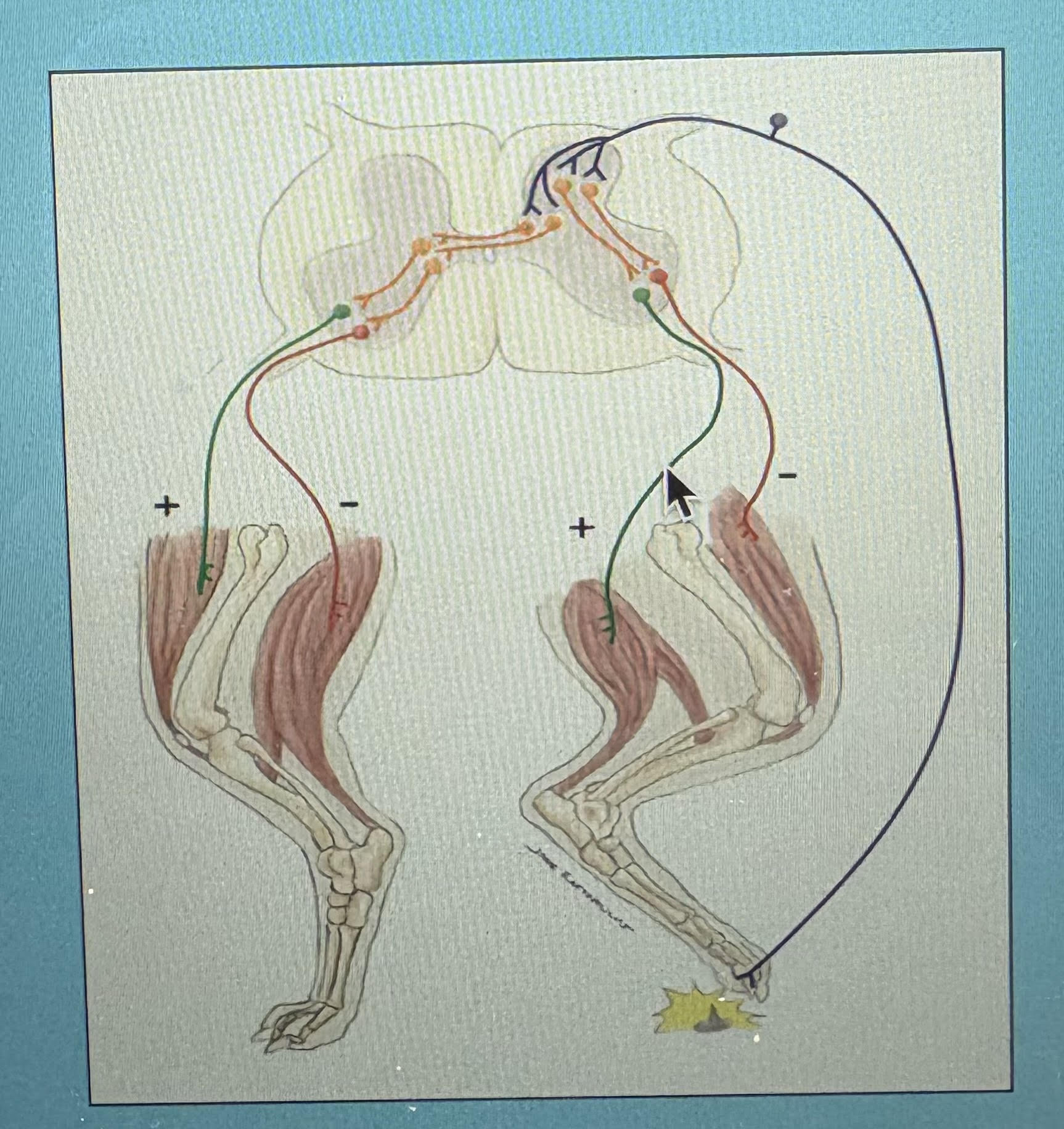 <p>What’s this?</p>