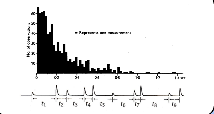 <p><span style="font-family: "Helvetica Light";">&nbsp;- they found that the time intervals between 800 serial </span><span>mEPPs</span><span style="font-family: "Helvetica Light";"> was <em><u>exponentially distributed</u></em>—this suggests that </span><span>mEPPs</span><span style="font-family: "Helvetica Light";"> are random events.</span></p>