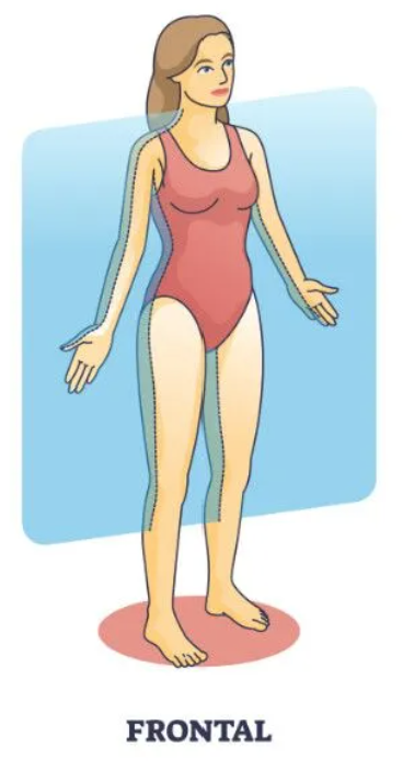 <p>The y plane</p><p>MOTION</p><ul><li><p>Adduction / Abduction</p><ul><li><p>e.g., knee valgus</p></li></ul></li></ul><p>MEASURED  </p><ul><li><p>within the mediolateral plane</p></li></ul><p></p>