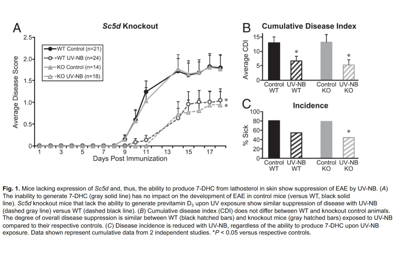 <p>Figure 1 — Sc5d knockout mice (precursor deficiency)</p><ul><li><p>briefly interpret it</p></li></ul><p></p>