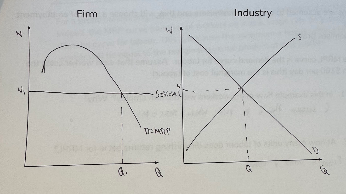 <ul><li><p>In competitive labour market, each firm can only hire workers if they offer the market-clearing wage rate, because if they offered less, they would work at other rival firms instead. → <strong><mark data-color="purple" style="background-color: purple; color: inherit;">Supply curve is horizontal</mark></strong></p></li></ul><p></p>