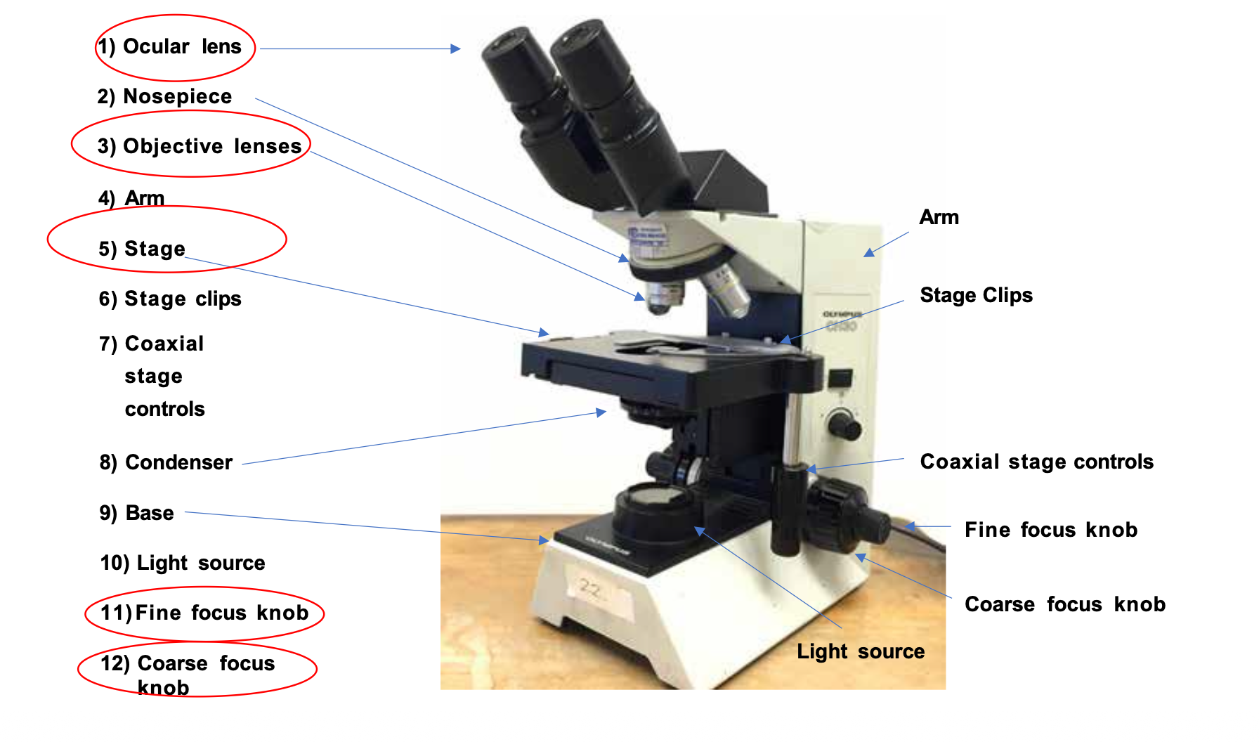knowt flashcard image
