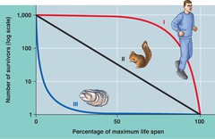<p>A survivorship curve in which individuals die at very high rates when they are young, but those that reach adulthood survive well later in life (examples: frogs, fish, sea turtles).</p>