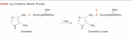 <p>What happens in S-Oxidation?</p>