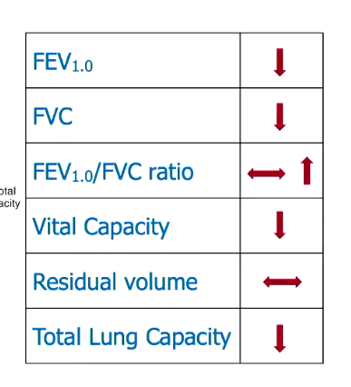 <ul><li><p>total lung capacity decreases, as residual volume can’t decrease, this decrease comes out of the vital capacity</p></li><li><p>therefore FVC also decreases, as does FEV1 as you have less air in total to be breathing out, so also less in the first second</p></li><li><p>as FVC drops so much, there might sometimes be an increase in FEV1/FVC ratio</p></li></ul><p></p>