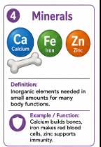 <p>Inorganic nutrients needed for many body functions and structures.<br>Example: Calcium helps build bones.</p>