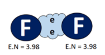 <p>atoms share electrons equally WHEN atoms have identical electronegativity values OR very little difference (<0.4 difference)</p>