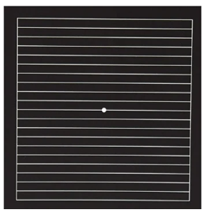 <p>parallel lines must be looked horizontally and vertically</p><p></p><p>metamorphopsia</p>