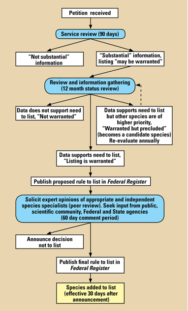 <p><span>The agency will:</span></p><ul><li><p><span>Create a final listing rule is published as <strong><em>proposed</em></strong> or <strong><em>revised</em> based </strong>on the best available biological data</span></p></li><li><p><span><strong>Withdraw proposal</strong> because biological data does not support it</span></p></li><li><p><span><strong>Extend the proposal </strong>for <em>six months</em> because there lacks scientific consensus warranting its listing</span></p></li><li><p><span>If approved, the final listing rule becomes <strong>effective approx. 30 days after publication</strong> in the Federal Register</span></p></li></ul><p></p>