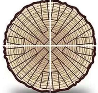 <p>This cut is _____ sawn.</p>