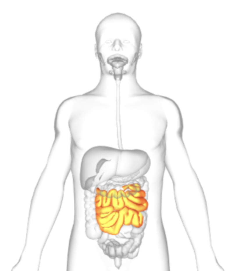 <p>what is highlighted</p>