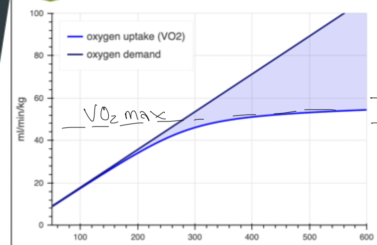 <ul><li><p>Amount consumed per min per unit of body weight </p></li><li><p>Work rate > as energy demand > </p></li><li><p>Increase E demand → > O2 demand </p></li><li><p>Plateau = no further O2 intake (VO2 max); relative to body weight </p></li></ul><p></p>
