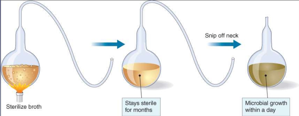 <p>experiment: swan-necked flasks</p><p>convinced scientific community SG was incorrect</p>