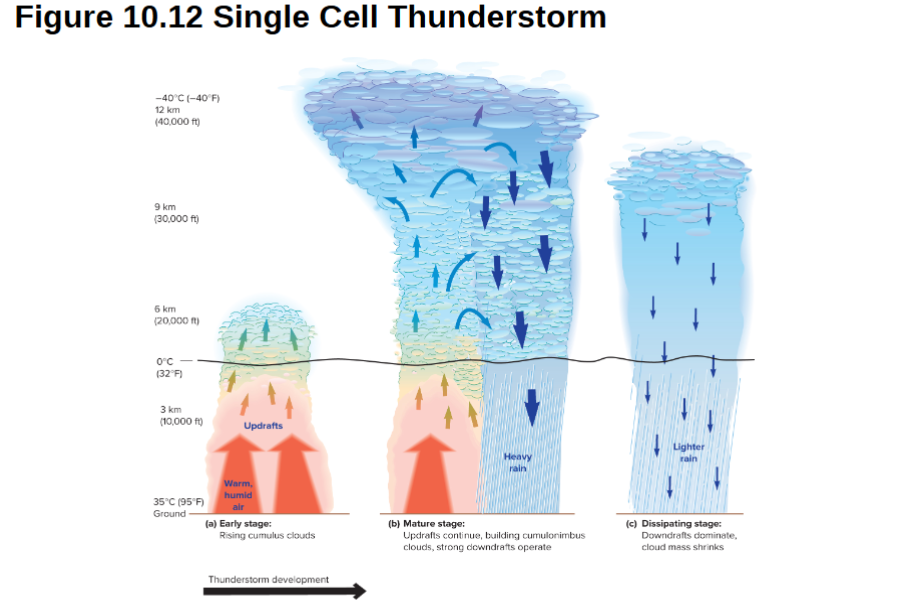 <p>Condensation forms<strong> Cumulus</strong> clouds, heat released to power severe weather<br><strong>Cumulonimbus</strong> clouds can build up to 20km high</p>