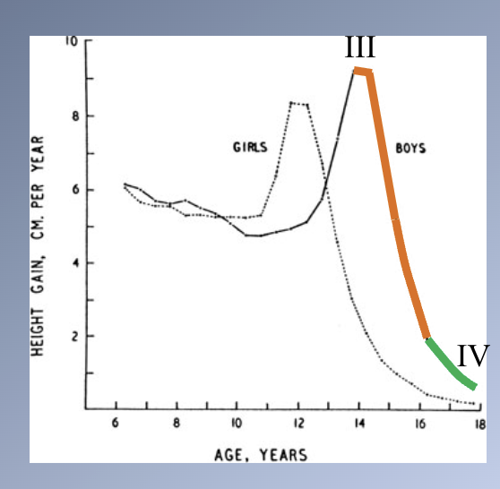 <p><span>I. Fat spurt</span><br><span>1) Gains weight, feminine fat distribution</span><br><span>2) Scrotum begins to increase in size</span><br></p><p><span>II. Spurt in height starts (1yr after stage I)</span><br><span>1) Redistribution and decrease in fat</span><br><span>2) Pubic hair starts to appear</span><br><span>3) Growth of the penis begins</span></p><p><span>III. Peak velocity (8-12m after stage II)</span><br><span>1) Axillary and facial hair upper lip</span><br><span>2) Spurt in muscle growth</span><br><span>3) Continued decrease subcutaneous fat</span></p><p><span>IV. Peak velocity (15-24m after stage III)</span><br><span>1) Spurt of growth ends</span><br><span>2) Facial hair on upper lip &amp; chin</span><br><span>3) Color of pubic and axillary hair</span><br><span>4) Further increase in muscular strength</span><br><span>5) Adult distribution</span></p>