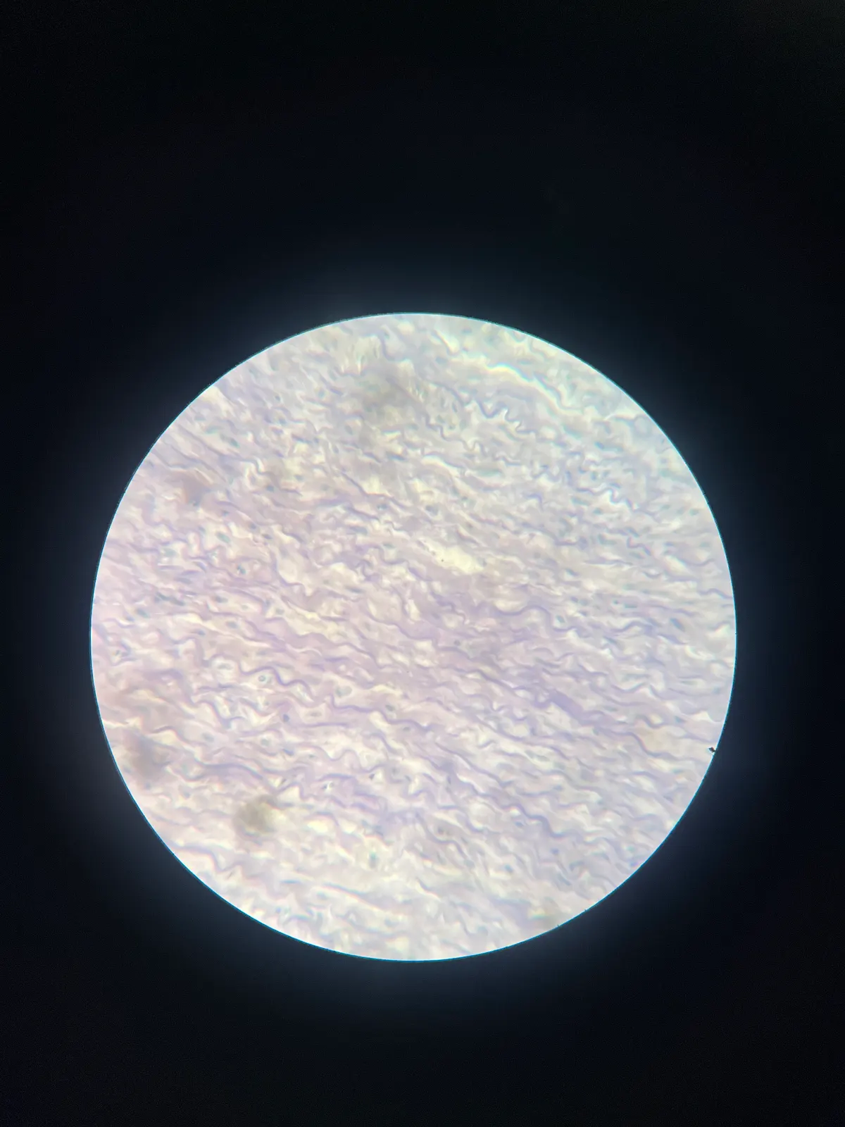<p>Pruebin - 9</p>