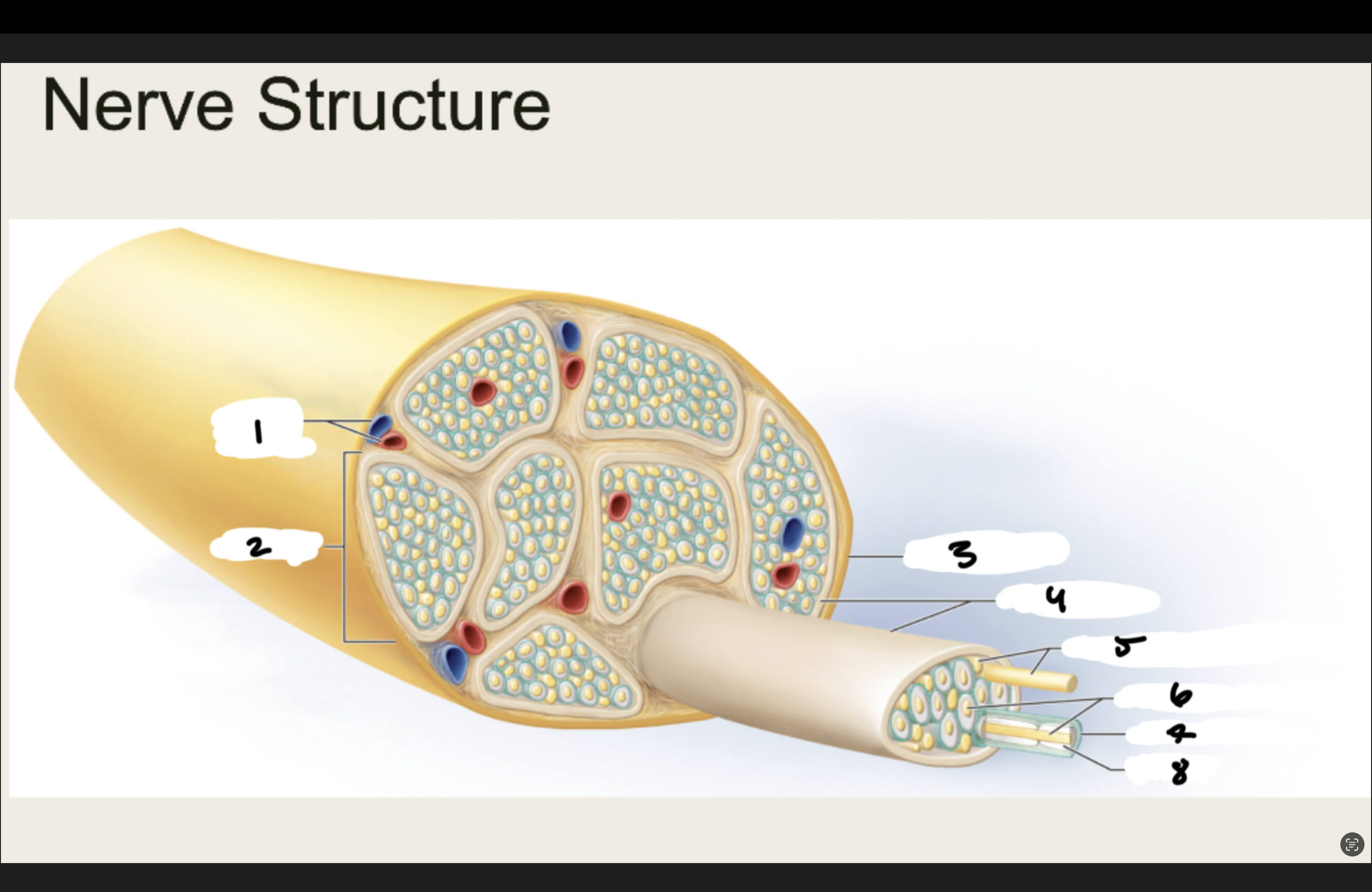 <p>1.XX</p><p>2.XX</p><p>3.XX</p><p>4.XX</p><p>5.XX</p><p>6.XX</p><p>7.XX</p><p>8.XX</p>