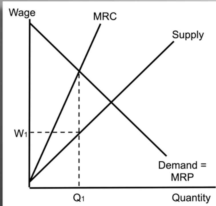 <p>Monopsony </p>