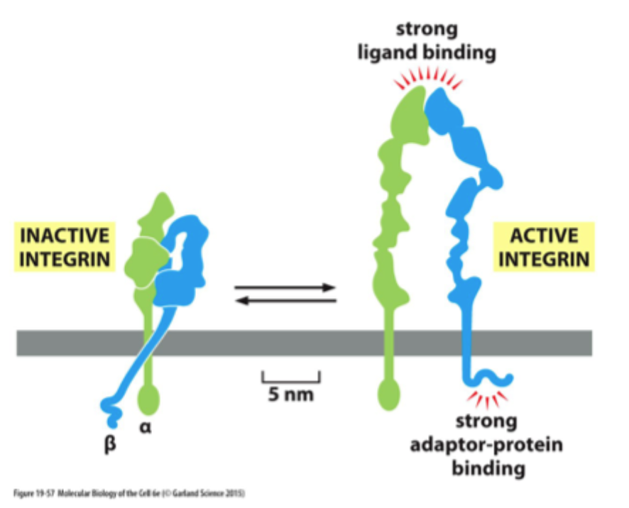<p>Hvorfor er denne figur vigtig?</p>