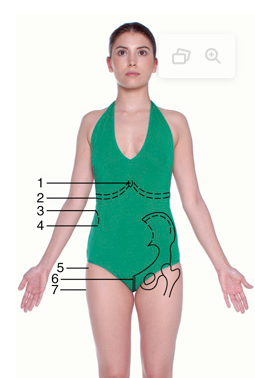 <ol><li><p>xiphoid process</p></li><li><p>inferior costal margin</p></li><li><p>iliac crest</p></li><li><p>anterior superior iliac spine</p></li><li><p>greater trochanter</p></li><li><p>symphysis pubis</p></li><li><p>ischial tuberosity</p></li></ol><p></p>