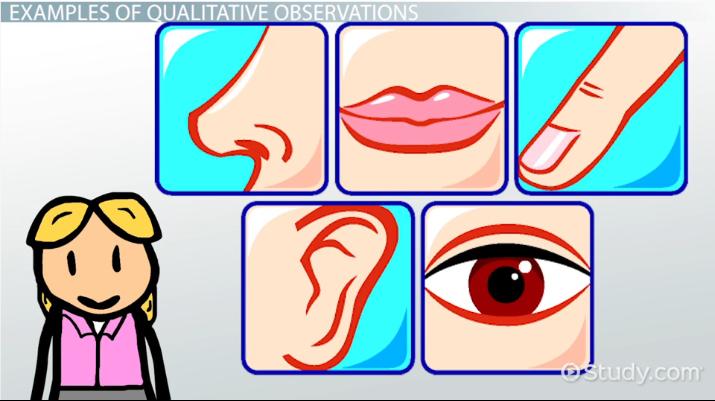 <p>Qualitative Observation </p>
