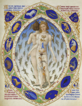 term image