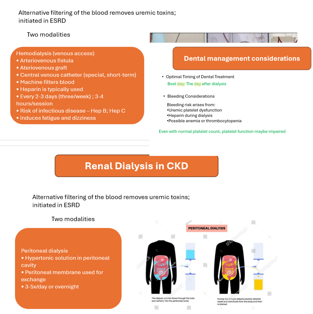 <p>Day after dialysis</p>