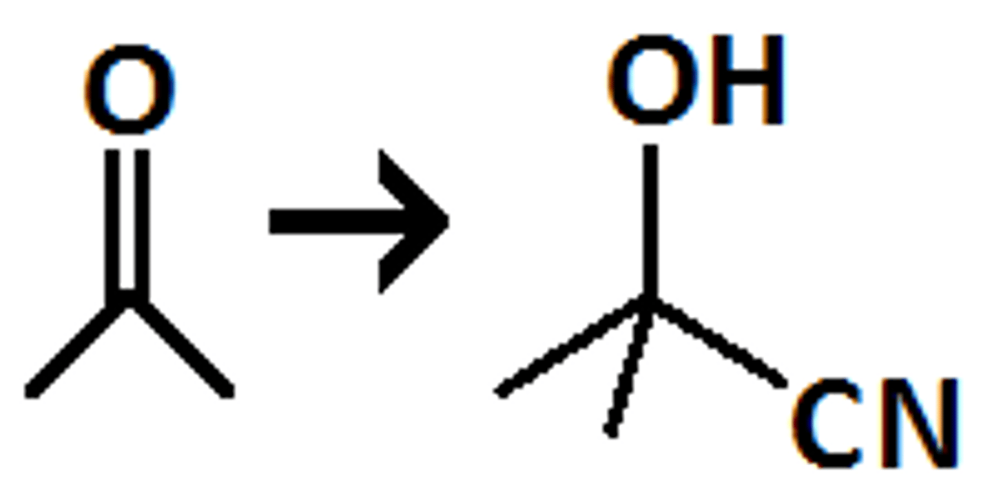 <p>is molecule that is product</p>