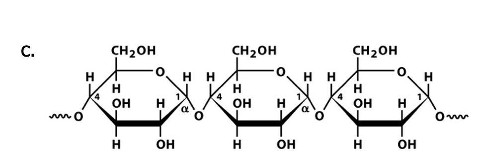<p>What polysaccharide is this?</p>