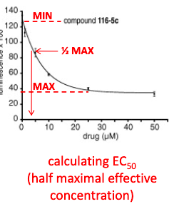 <p>half maximal effective concentration</p>