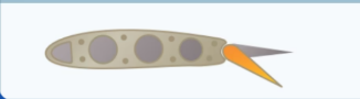 knowt flashcard image