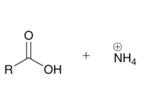 <p>carboxylic acid</p>