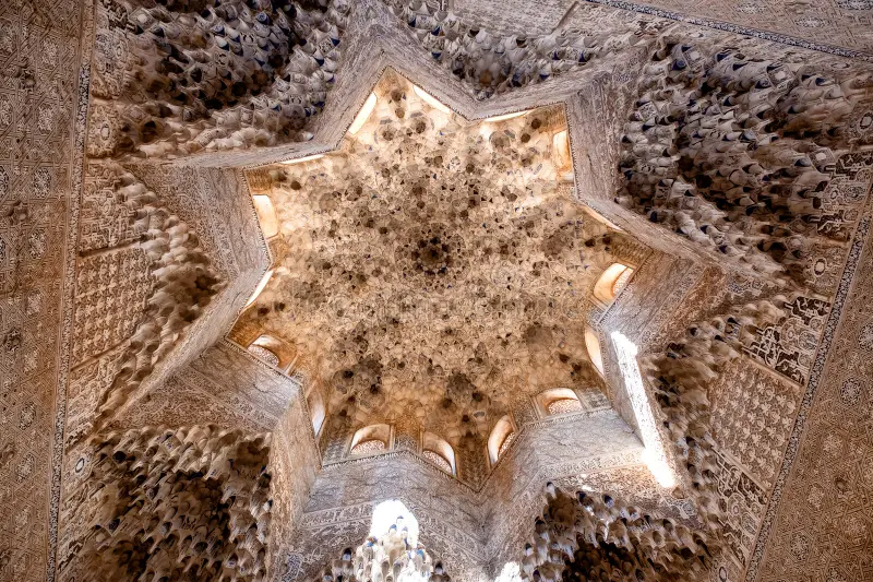 <p>Alhambra (10.22), Decorative vaulting creating honeycomb effect.</p>