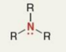 <p>What functional group is this?</p>