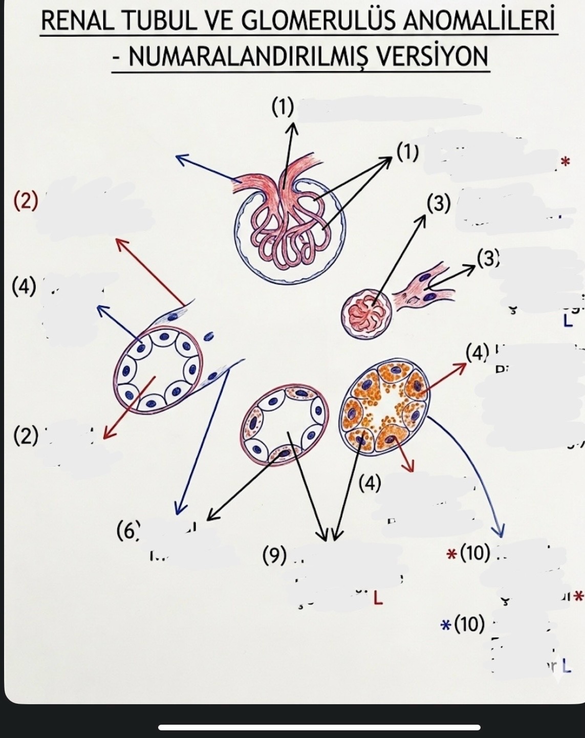 <p>ne</p>