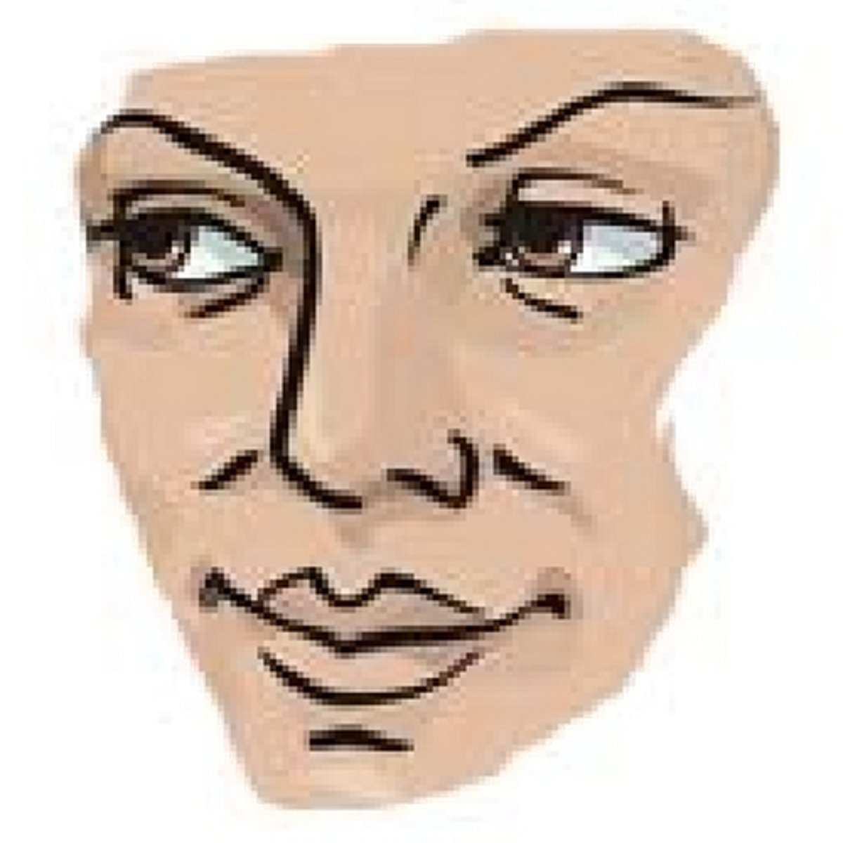 <p>лице</p>