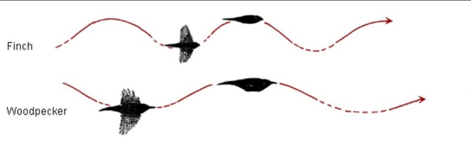 <p></p>