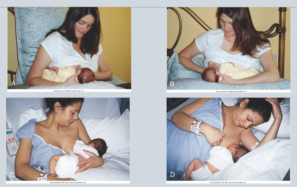 <ul><li><p><strong><u>football or clutch hold</u></strong> (under the arm) → recommended for early feedings and is particularly helpful for mothers who gave birth by cesarean section and late preterm and early term infants to avoid flexing the head, which can impede breathing and cause positional apnea</p></li><li><p><strong><u>across the lap </u></strong>(cross-cradle or modified cradle)</p></li><li><p><strong><u>cradle:</u></strong> the most common breastfeeding position for infants who have learned to latch easily and feed effectively </p></li><li><p><strong><u>side-lying</u></strong> → allows the mother to rest while breastfeeding and is recommended for women with perineal pain and swelling</p></li><li><p><strong><u>semireclining position:</u></strong> mother is more relaxed, nipple pain is reduced or eliminated, more freedom of movement to use hands, baby can use inborn reflexes to latch and feed effectively</p></li></ul><p></p>