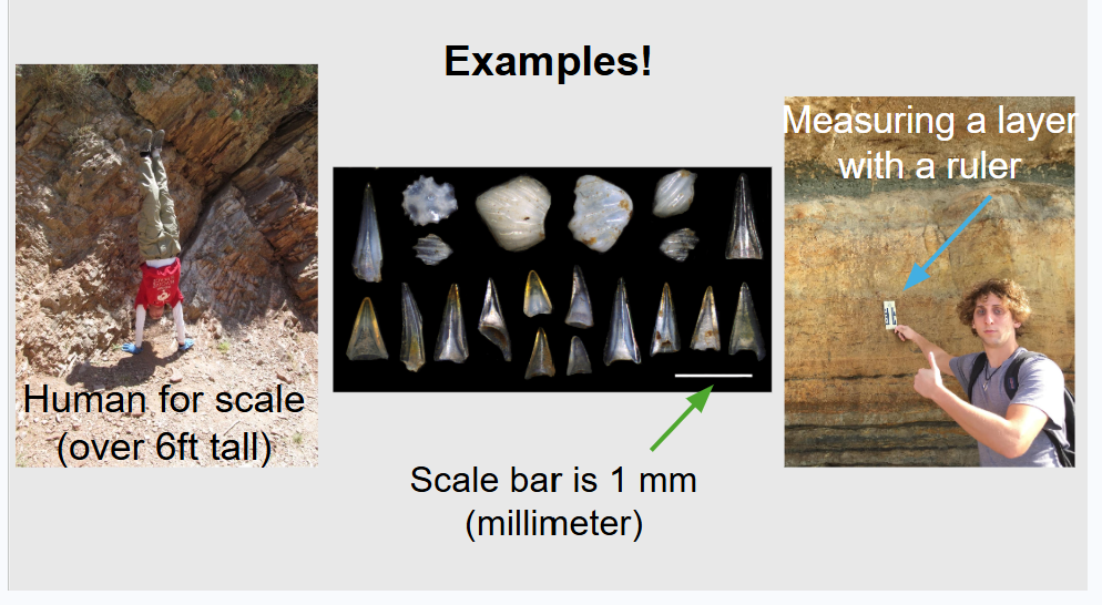 <p><span style="background-color: transparent;">in geology we want to know how big/small something was. We often take a measurement and draw a scale bar!</span></p>