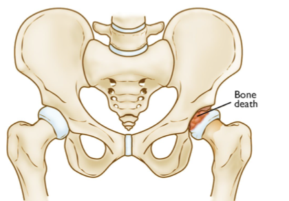 <ul><li><p>3-12</p></li><li><p>5-7</p></li></ul><p></p>