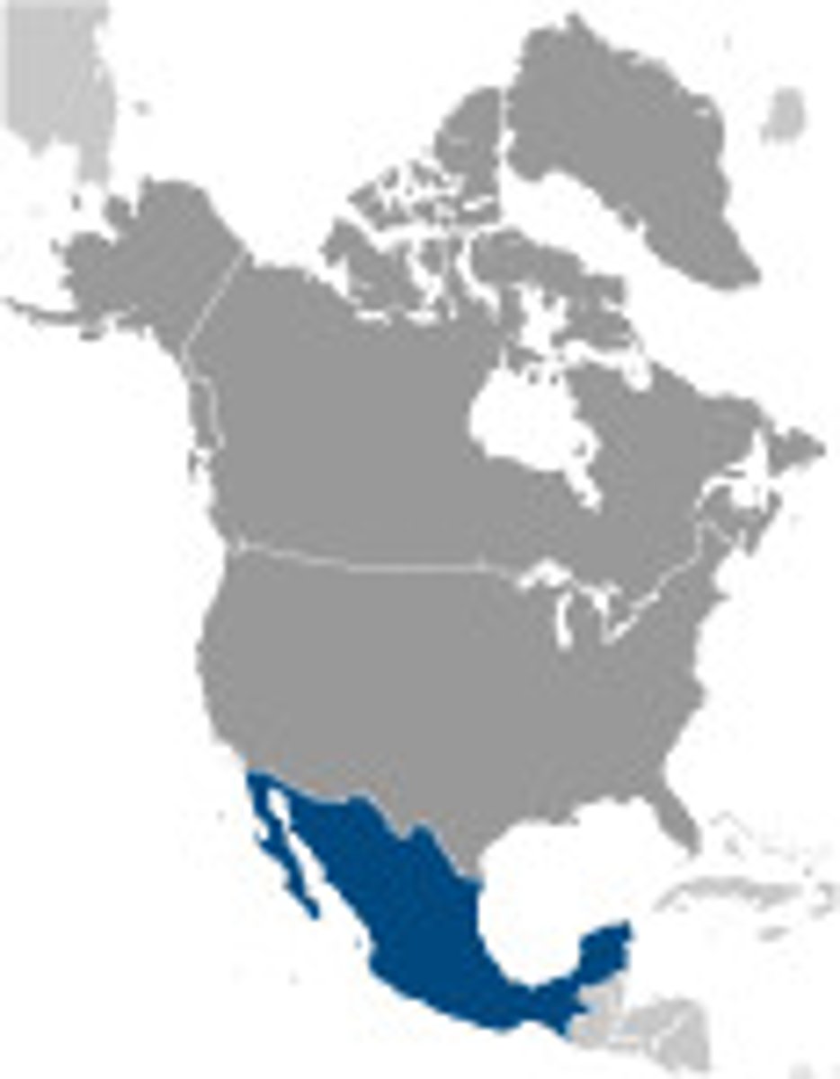 <p>Ciudad de México</p>