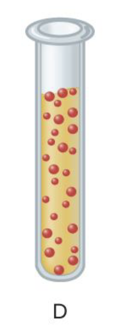 <ul><li><p>Bacteria classification based on oxygen needs</p></li><li><p>Doesn’t require oxygen but can survive in it’s presence  </p></li></ul><p></p>
