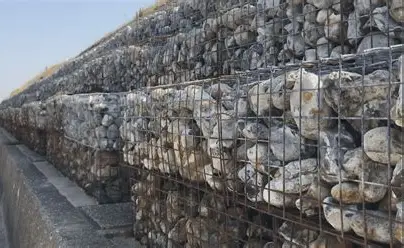 <ul><li><p>Wire cages filled with belled that last 20-30 years</p></li><li><p>Adv : Cheap, effective and improve drainage</p></li><li><p>Dis : ugly and poor quality</p></li></ul><p></p>