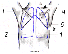 <p>4</p>