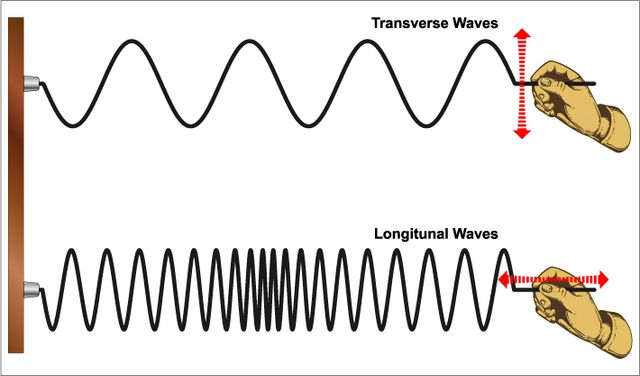 <p>transverse wave </p>