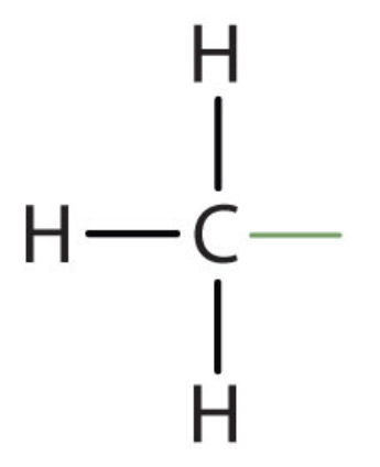 <p>-CH3</p>