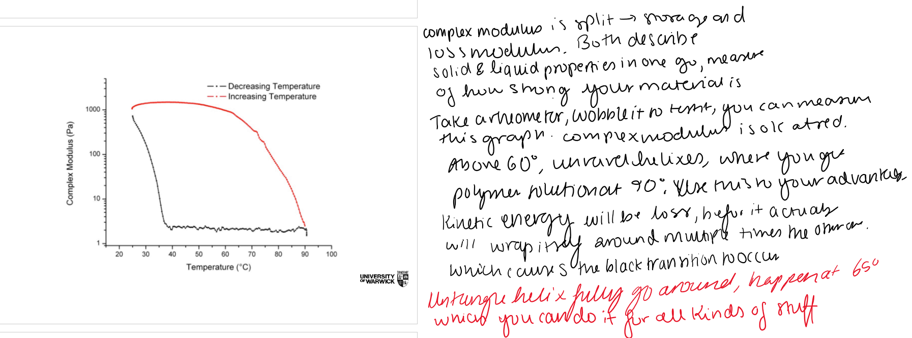 <p>his graph measures the <strong>complex modulus (G*)</strong>, which tells you <strong>how stiff or solid-like the material is</strong>.</p><ul><li><p><strong>High complex modulus</strong> → Strong gel (solid-like).</p></li><li><p><strong>Low complex modulus</strong> → Polymer solution (liquid-like).</p></li></ul><p>Heating the gel (red curve) </p><p>Start with a gel at room temperature.</p><p> As temperature increases:</p><p> The gel stays <strong>stiff</strong> for a long time because the <strong>helix bundles are still intact</strong>.</p><ul><li><p>Around <strong>60–70°C</strong>, the helices begin to <strong>unwind</strong>.</p></li><li><p>Hydrogen bonds break.</p></li><li><p>The 3D network collapses.</p></li><li><p>The modulus rapidly falls.</p></li><li><p>By <strong>~90°C</strong>, the material is a <strong>polymer solution</strong>.</p></li></ul><p> </p><p><strong>Heating</strong></p><blockquote><p><strong>Gel → Helices unwind → Polymer solution</strong></p></blockquote><p>COoling the solution (black curve) </p><p>Start with the hot polymer solution.</p><p> </p><p>As temperature decreases:</p><p> </p><ul><li><p>The polymer chains first lose kinetic energy.</p></li><li><p>They must <strong>find each other</strong> and reform hydrogen bonds.</p></li><li><p>Individual helices form.</p></li><li><p>Helices then bundle together.</p></li><li><p>Only after enough bundles connect into one continuous network does the gel reform.</p></li></ul><p> </p><p>This happens much later, around <strong>35°C</strong>.</p><p> </p><p><strong>Cooling:</strong></p><p> </p><blockquote><p><strong>Solution → Helices form → Helix bundles → Continuous network → Gel</strong></p></blockquote><p></p>