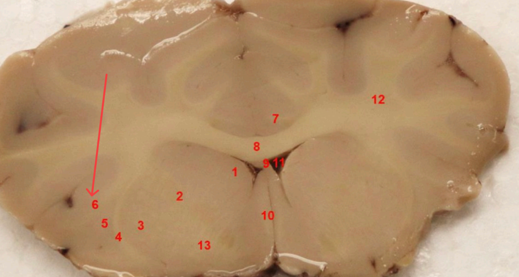 <p>what area is this? </p>